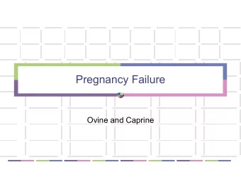 Pregnancy Failure  Ovine and Caprine  Small Ruminant  Infectious causes are more common in the list