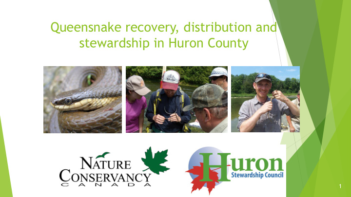 queensnake recovery distribution and stewardship in huron