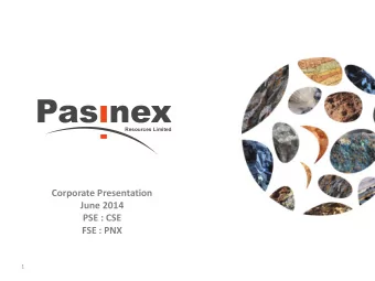 FSE : PNX  1  Resources Limited  Disclaimer The information contained in this presentation is
