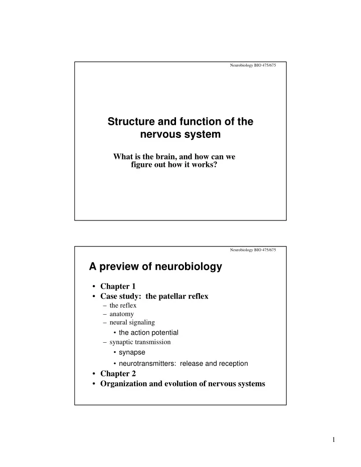 structure and function of the nervous system