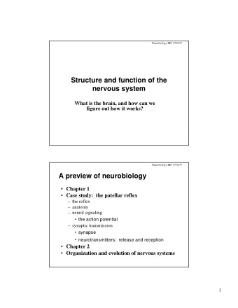 Structure and function of the  nervous system  What is the brain, and how can we  figure out how it