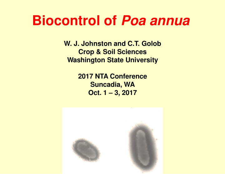 biocontrol of poa annua