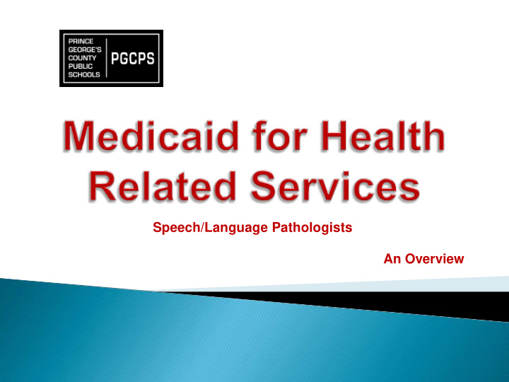 speech language pathologists an overview