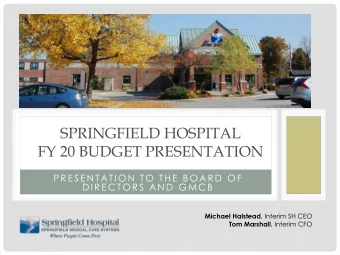 SPRINGFIELD HOSPITAL  FY 20 BUDGET PRESENTATION  P RE SE N TATI ON TO THE  B OARD OF  DI RE C TORS