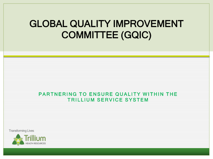 global bal q qual ality i y improvem vemen ent committee