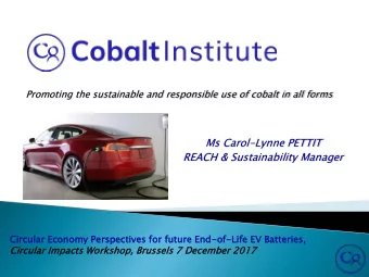 Ms Carol-Lynne PETTIT  REACH &amp; Sustainability Manager  Circul  ular  ar Econo  nomy  y