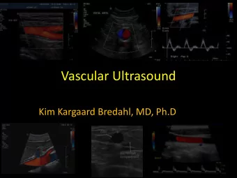 Vascular Ultrasound  Kim Kargaard Bredahl, MD, Ph.D  Background  Resident in vascular surgery