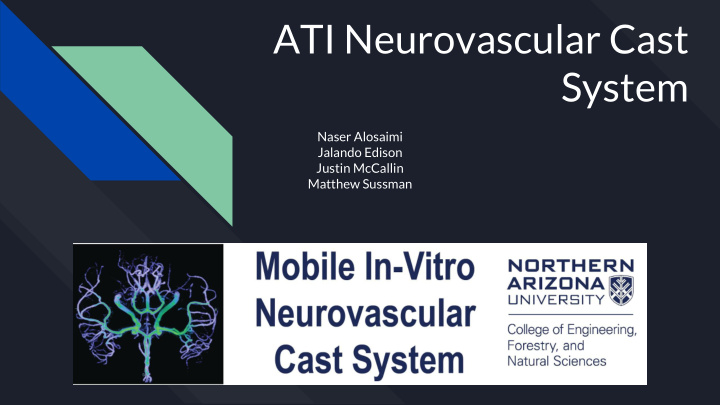 ati neurovascular cast system