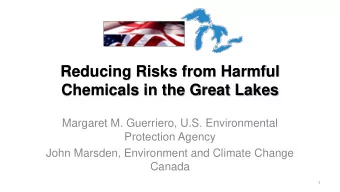 Reducing Risks from Harmful  Chemicals in the Great Lakes  Margaret M. Guerriero, U.S.