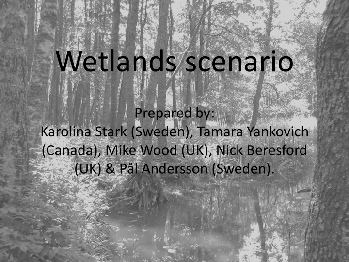 wetlands scenario