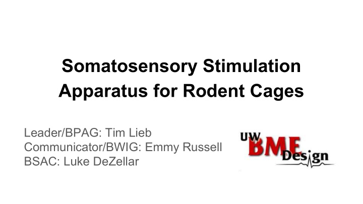 somatosensory stimulation apparatus for rodent cages