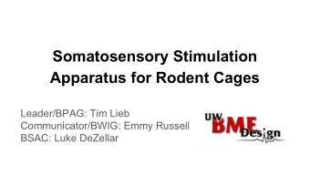 Somatosensory Stimulation  Apparatus for Rodent Cages  Leader/BPAG: Tim Lieb  Communicator/BWIG: