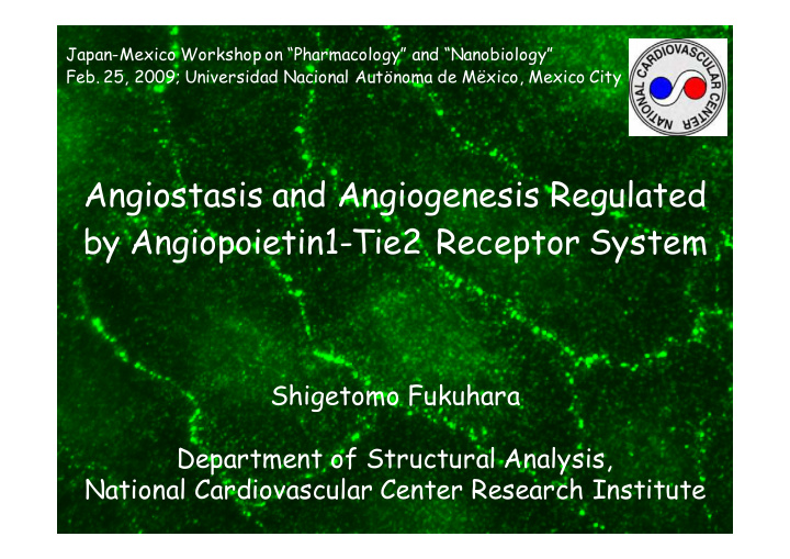 angiostasis and angiogenesis regulated by angiopoietin1