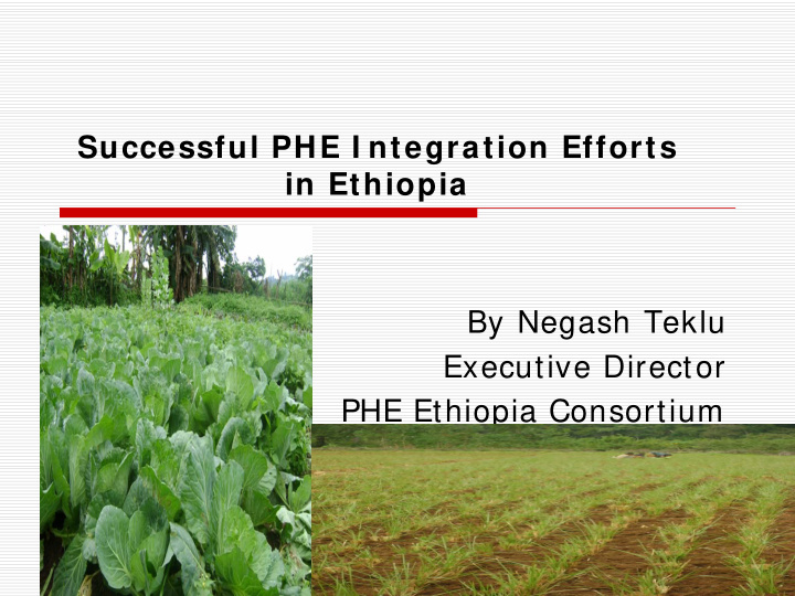 successful phe i ntegration efforts in ethiopia by negash