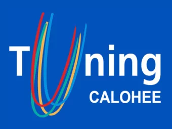 TUNING and its new focus on achieved learning outcomes    Robert Wagenaar  Director