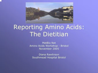 Reporting Amino Acids:  The Dietitian  MetBio Net  Amino Acids Workshop - Bristol  November 2005