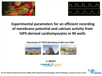 hIPS-derived cardiomyocytes in 96 wells  S. BEDUT For the Institut de Recherche Servier (IdRS),
