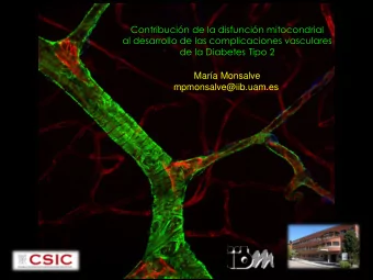 Contribucin de la disfuncin mitocondrial  al desarrollo de las complicaciones vasculares  de la