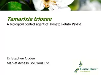 Tamarixia triozae  A biological control agent of Tomato Potato Psyllid  Dr Stephen Ogden  Market
