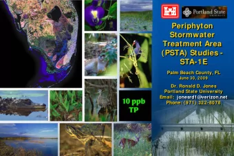 Periphyton  Periphyton  Stormwater  Stormwater  Treatment Area  Treatment Area  (PSTA) Studies -