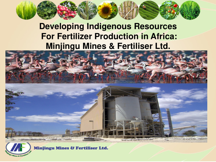 developing indigenous resources for fertilizer production