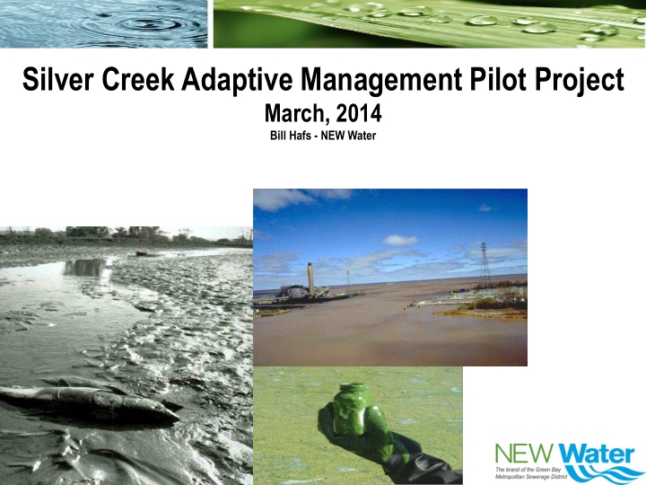 silver creek adaptive management pilot project