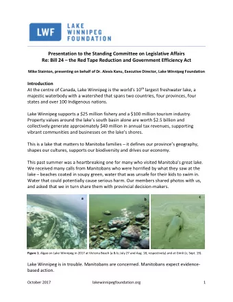 Presentation to the Standing Committee on Legislative Affairs Re: Bill 24  the Red Tape