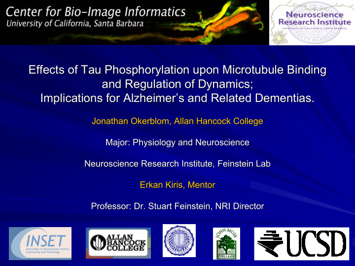 effects of tau phosphorylation phosphorylation upon