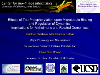 Effects of Tau Phosphorylation  Phosphorylation upon Microtubule Binding  upon Microtubule Binding