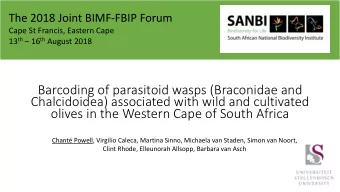 olives in the Western Cape of South Africa  Chant Powell, Virgilio Caleca, Martina Sinno,