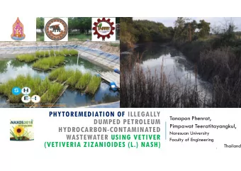PHYTOREMEDIATION OF ILLEGALLY  Tanapon Phenrat,  DUMPED PETROLEUM  Pimpawat Teeratitayangkul,
