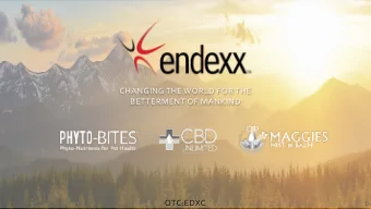 CHANGING THE WORLD FOR THE  BETTERMENT OF MANKIND  OTC:EDXC  0  EDXC Business Overview  We are a