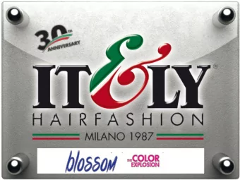 Cr  e ativity with no limits  BL OSSOM is an e xplosion of c olor  .  BL  OSSOM is the  tr  iumph