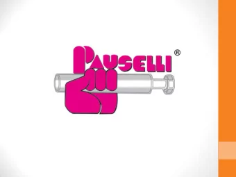 Company history  Sandro Pauselli founded the company Pauselli costruzioni s.n.c. in 1986.