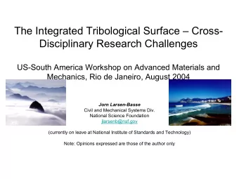 The Integrated Tribological Surface  Cross-  Disciplinary Research Challenges  US-South America