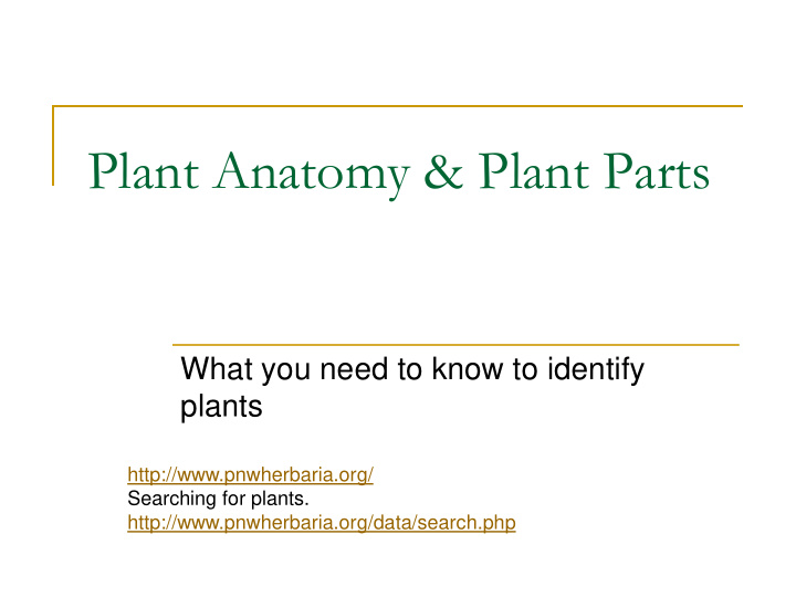 plant anatomy plant parts