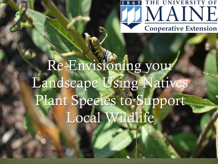 re envisioning your landscape using natives plant species