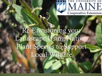 Re-Envisioning your  Landscape Using Natives  Plant Species to Support Local Wildlife