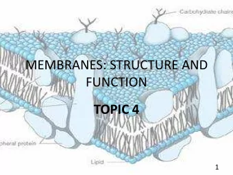 MEMBRANES: STRUCTURE AND  FUNCTION  TOPIC 4  1  BIOMEDICAL IMPORTANCE    Plasma membranes- form