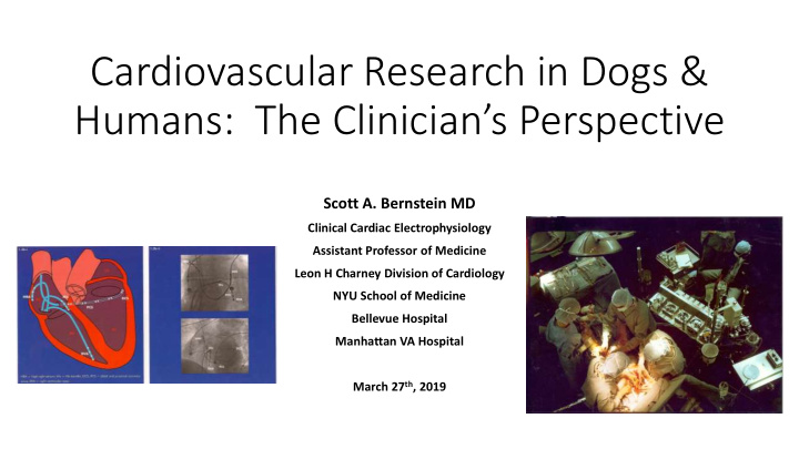 cardiovascular research in dogs amp humans the clinician