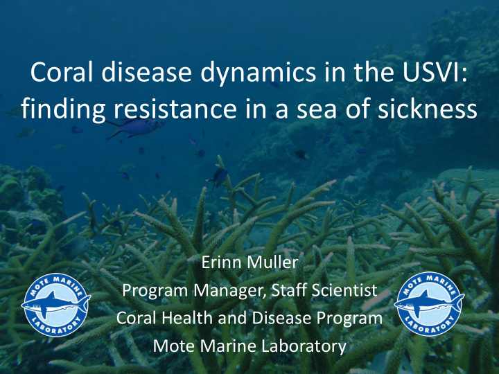 coral disease dynamics in the usvi