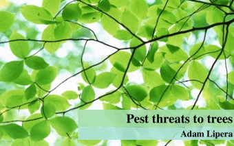 Pest threats to trees  Adam Lipera  Gypsy Moth  Caterpillar causes most of the  damage