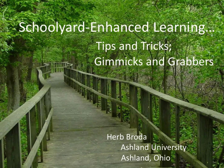 schoolyard enhanced learning