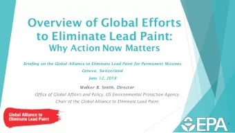 to Eliminate Lead Paint:  Why Action Now Matters  Briefing on the Global Alliance to Eliminate Lead