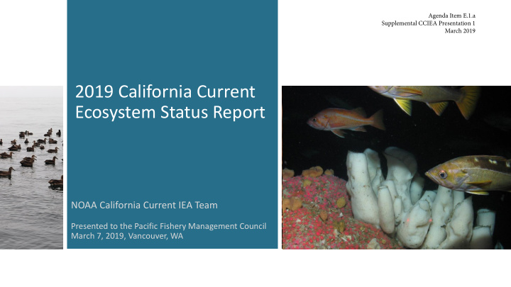 2019 california current ecosystem status report