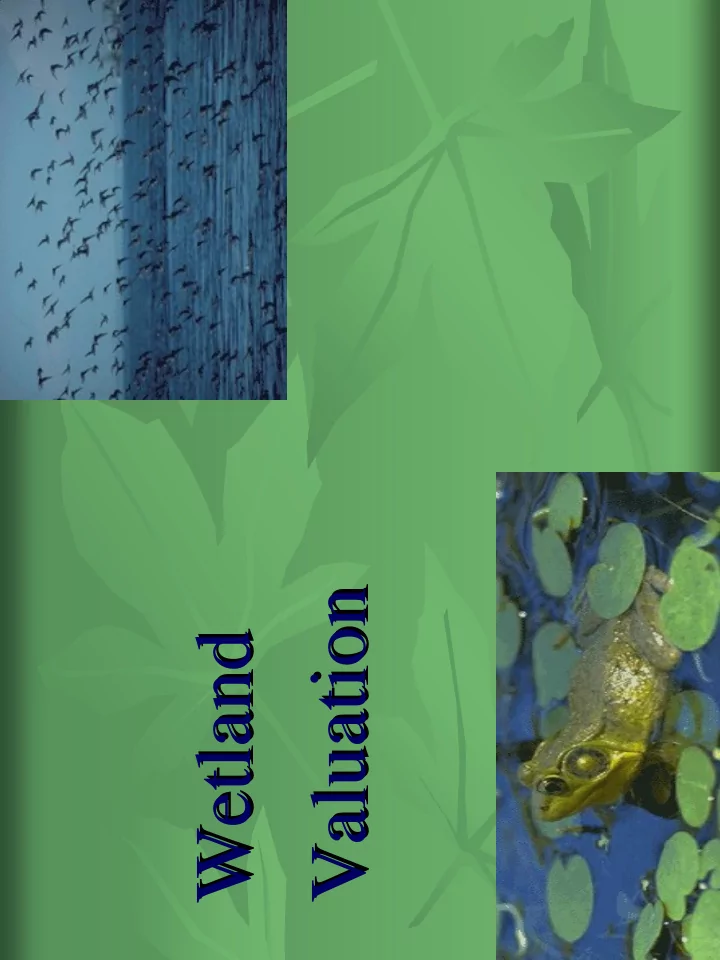 valuation valuation wetland wetland valuation of