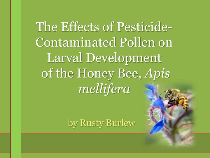 the effects of pesticide