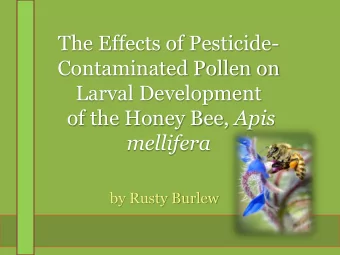 The Effects of Pesticide-  Contaminated Pollen on  Larval Development of the Honey Bee, Apis