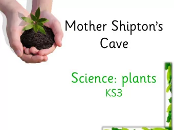 Cave  Science: plants  KS3  What trees have we seen on  our trail today?  Horse chestnut    Beech