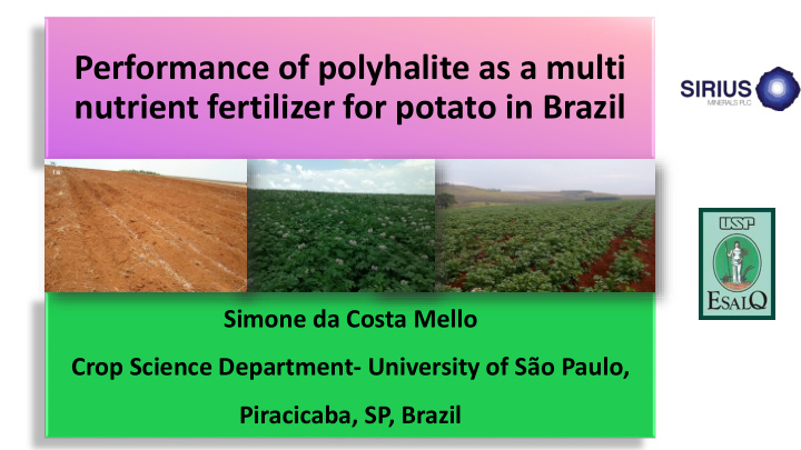 performance of polyhalite as a multi nutrient fertilizer
